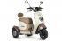 Электротрицикл Gelbert Ogma 48V/60V 650Вт