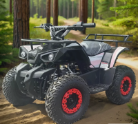 Электроквадроцикл Gbike Snowman 800W